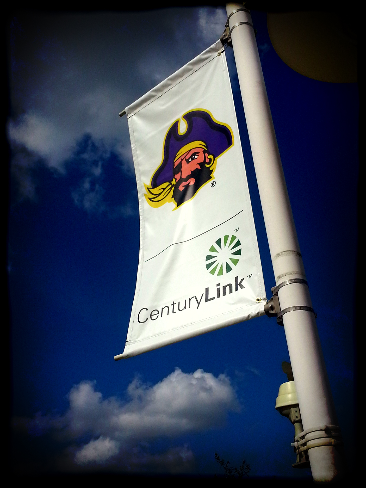 Banner Flags