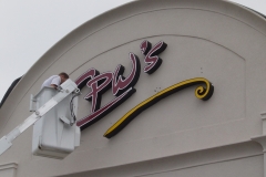 CPWS CHANNEL LETTERS